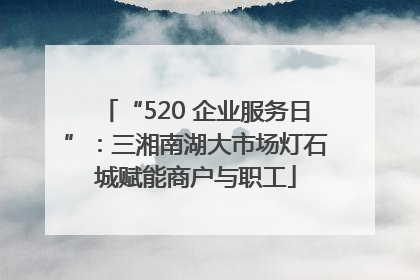 “520 企业服务日”：三湘南湖大市场灯石城赋能商户与职工