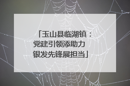 玉山县临湖镇：党建引领添助力 银发先锋展担当
