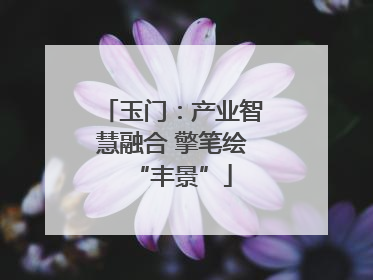 玉门：产业智慧融合 擎笔绘“丰景”
