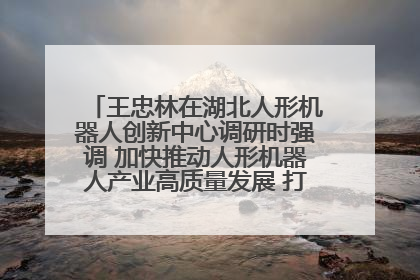 王忠林在湖北人形机器人创新中心调研时强调 加快推动人形机器人产业高质量发展 打造具有全国影响力的研发创新基地