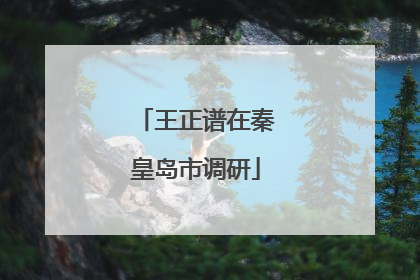 王正谱在秦皇岛市调研
