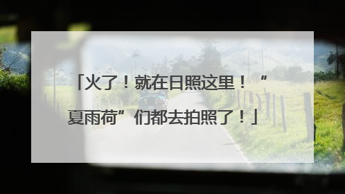 火了！就在日照这里！“夏雨荷”们都去拍照了！