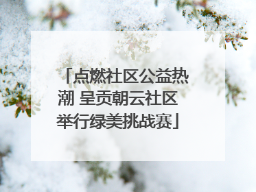 点燃社区公益热潮 呈贡朝云社区举行绿美挑战赛
