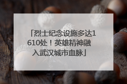 烈士纪念设施多达1610处！英雄精神融入武汉城市血脉