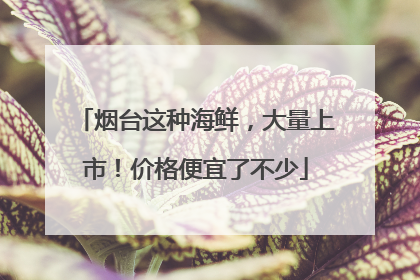 烟台这种海鲜，大量上市！价格便宜了不少