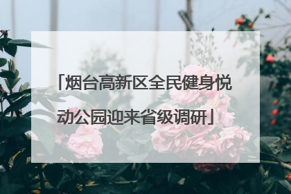 烟台高新区全民健身悦动公园迎来省级调研
