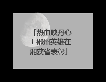 热血映丹心！郴州英雄在湘获省表彰