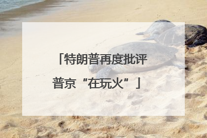 特朗普再度批评普京“在玩火”