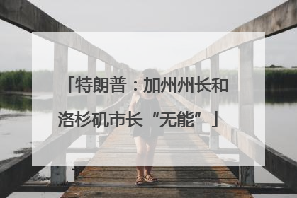 特朗普：加州州长和洛杉矶市长“无能”