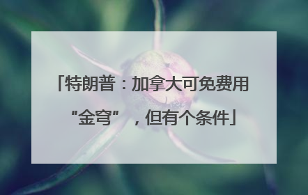 特朗普：加拿大可免费用“金穹”，但有个条件