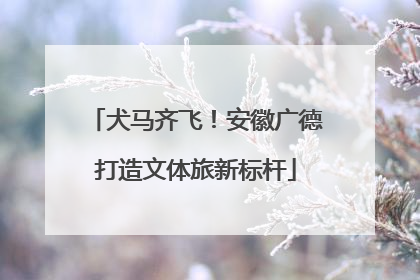 犬马齐飞！安徽广德打造文体旅新标杆