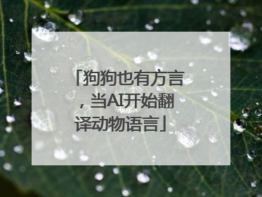 狗狗也有方言，当AI开始翻译动物语言