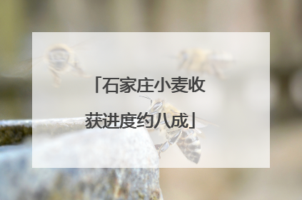 石家庄小麦收获进度约八成