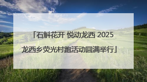 石斛花开 悦动龙西 2025龙西乡荧光村跑活动圆满举行