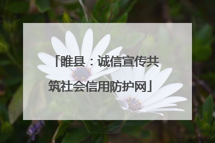 睢县：诚信宣传共筑社会信用防护网