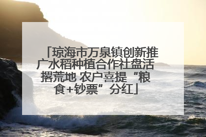 琼海市万泉镇创新推广水稻种植合作社盘活撂荒地 农户喜提“粮食+钞票”分红