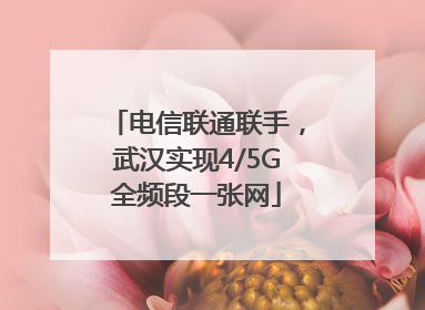 电信联通联手，武汉实现4/5G全频段一张网