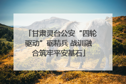 甘肃灵台公安“四轮驱动”砺精兵 战训融合筑牢平安基石