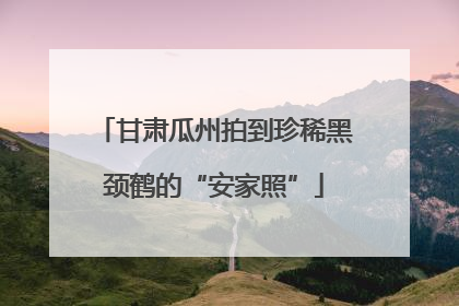 甘肃瓜州拍到珍稀黑颈鹤的“安家照”