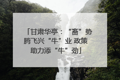 甘肃华亭：“畜”势腾飞兴“牛”业 政策助力添“牛”劲