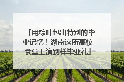 用粽叶包出特别的毕业记忆！湖南这所高校食堂上演别样毕业礼