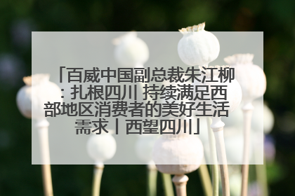 百威中国副总裁朱江柳：扎根四川 持续满足西部地区消费者的美好生活需求丨西望四川