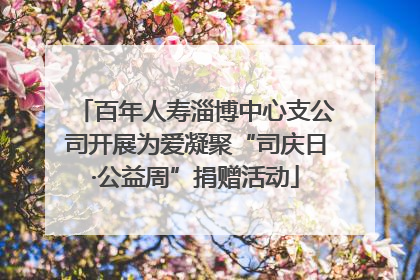 百年人寿淄博中心支公司开展为爱凝聚“司庆日·公益周”捐赠活动