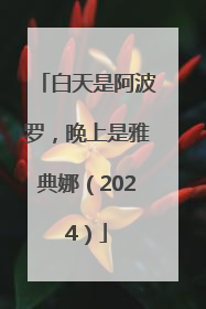 白天是阿波罗，晚上是雅典娜（2024）