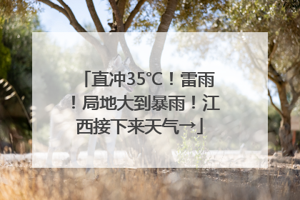 直冲35℃！雷雨！局地大到暴雨！江西接下来天气→