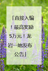 直接入编！最高奖励5万元！龙岩一地发布公告