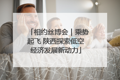 相约丝博会｜乘势起飞 陕西探索低空经济发展新动力