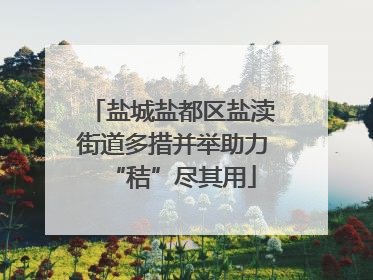 盐城盐都区盐渎街道多措并举助力“秸”尽其用