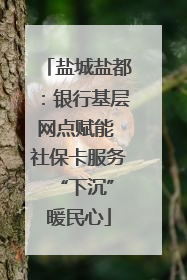 盐城盐都：银行基层网点赋能 社保卡服务 “下沉”暖民心