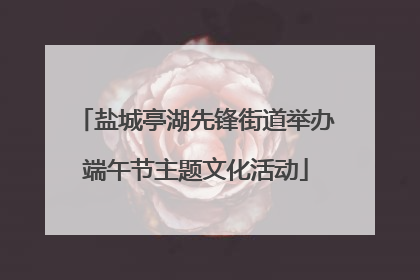 盐城亭湖先锋街道举办端午节主题文化活动
