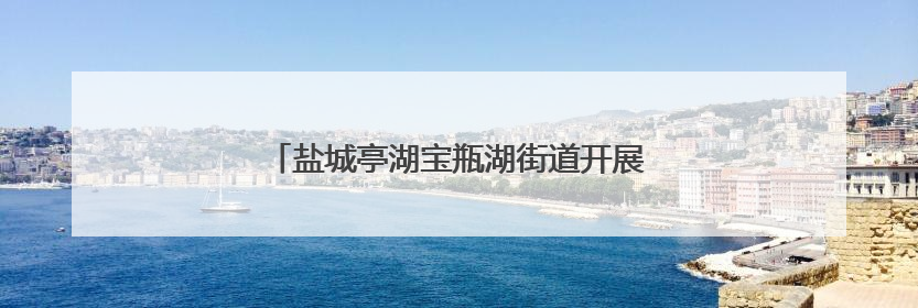 盐城亭湖宝瓶湖街道开展“善育在亭湖”宣传活动