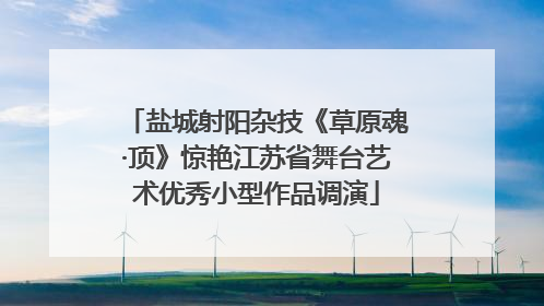 盐城射阳杂技《草原魂·顶》惊艳江苏省舞台艺术优秀小型作品调演