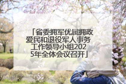 省委拥军优属拥政爱民和退役军人事务工作领导小组2025年全体会议召开