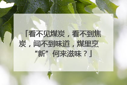 看不见煤炭，看不到焦炭，闻不到味道，煤里烹“新”何来滋味？