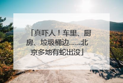 真吓人！车里、厨房、垃圾桶边……北京多地有蛇出没