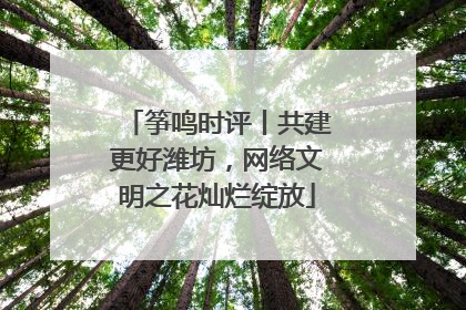 筝鸣时评丨共建更好潍坊，网络文明之花灿烂绽放