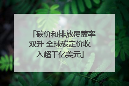 碳价和排放覆盖率双升 全球碳定价收入超千亿美元