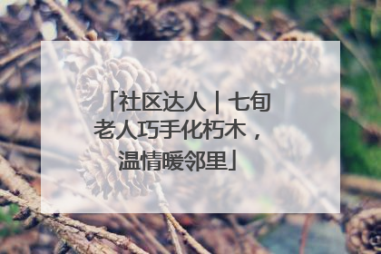 社区达人｜七旬老人巧手化朽木，温情暖邻里