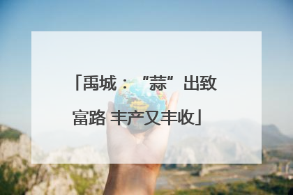 禹城：“蒜”出致富路 丰产又丰收