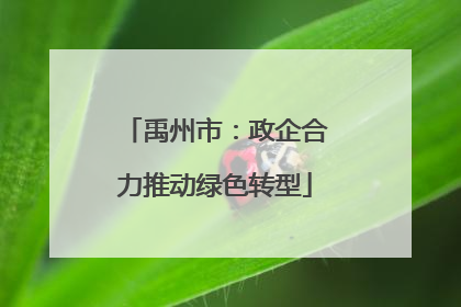 禹州市：政企合力推动绿色转型