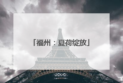 福州：夏荷绽放