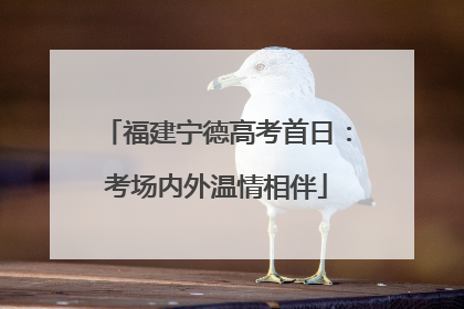 福建宁德高考首日：考场内外温情相伴