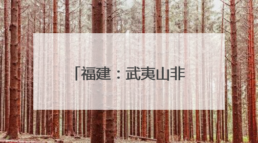 福建：武夷山非遗传承人坚守传统 手工制茶技艺再现“岩骨花香”