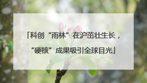 科创“雨林”在沪茁壮生长，“硬核”成果吸引全球目光
