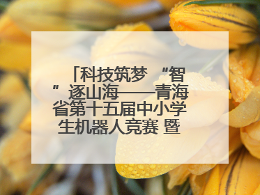 科技筑梦 “智”逐山海——青海省第十五届中小学生机器人竞赛 暨第八届创新设计大赛见闻