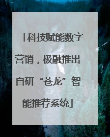 科技赋能数字营销，极融推出自研“苍龙”智能推荐系统